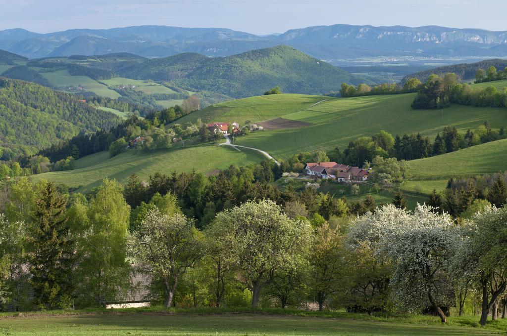 Hotel Post Hoenigwirt Kirchschlag in der Buckligen Welt Buitenkant foto